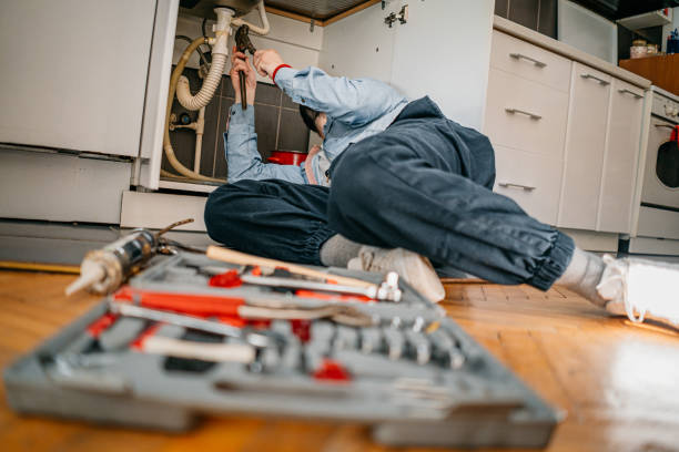 Best Local Plumber Services  in St Leon, IN